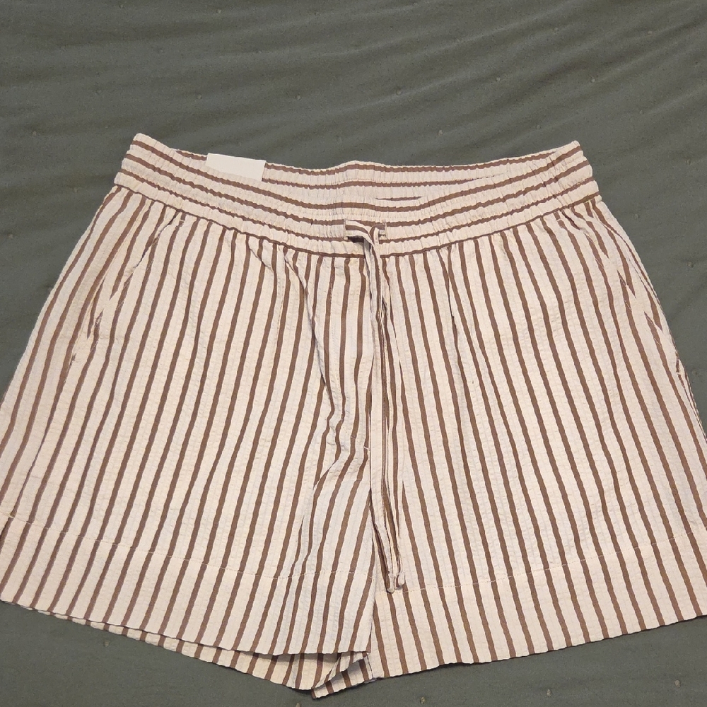 Banana Republic Cream and Brown Striped High-Waist Shorts